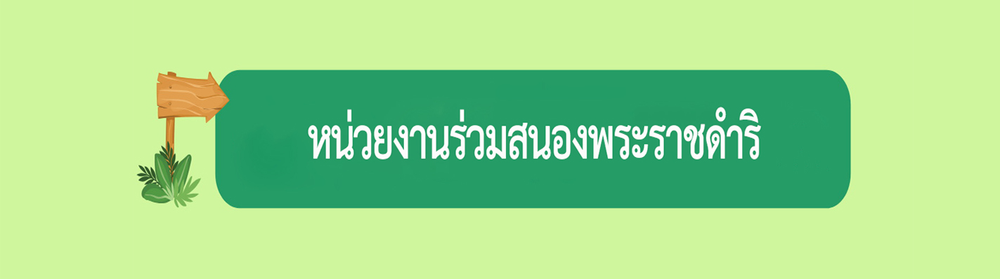 Relateds Banner-68c00442d1689.jpg